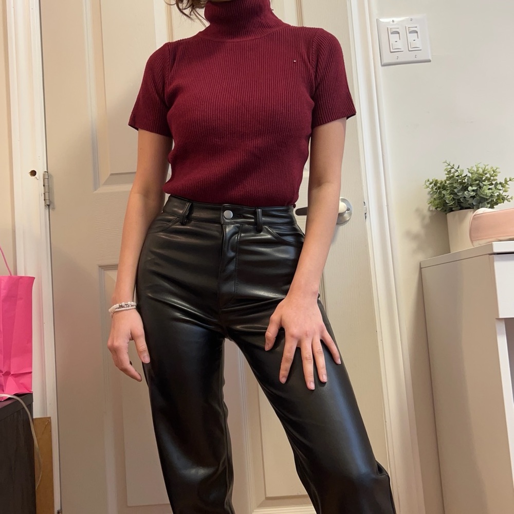 Red Wine Fitted Turtleneck Top